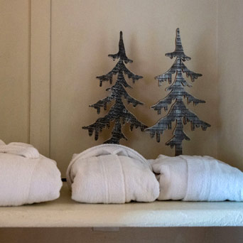Chalet de Flore Verbier